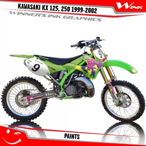 Kawasaki-KX-125,-250-1999-2000-2001-2002-graphics-kit-and-decals-Paints