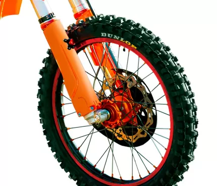 Rims(only 200 micron)